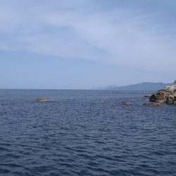 先週に引き続きエギング